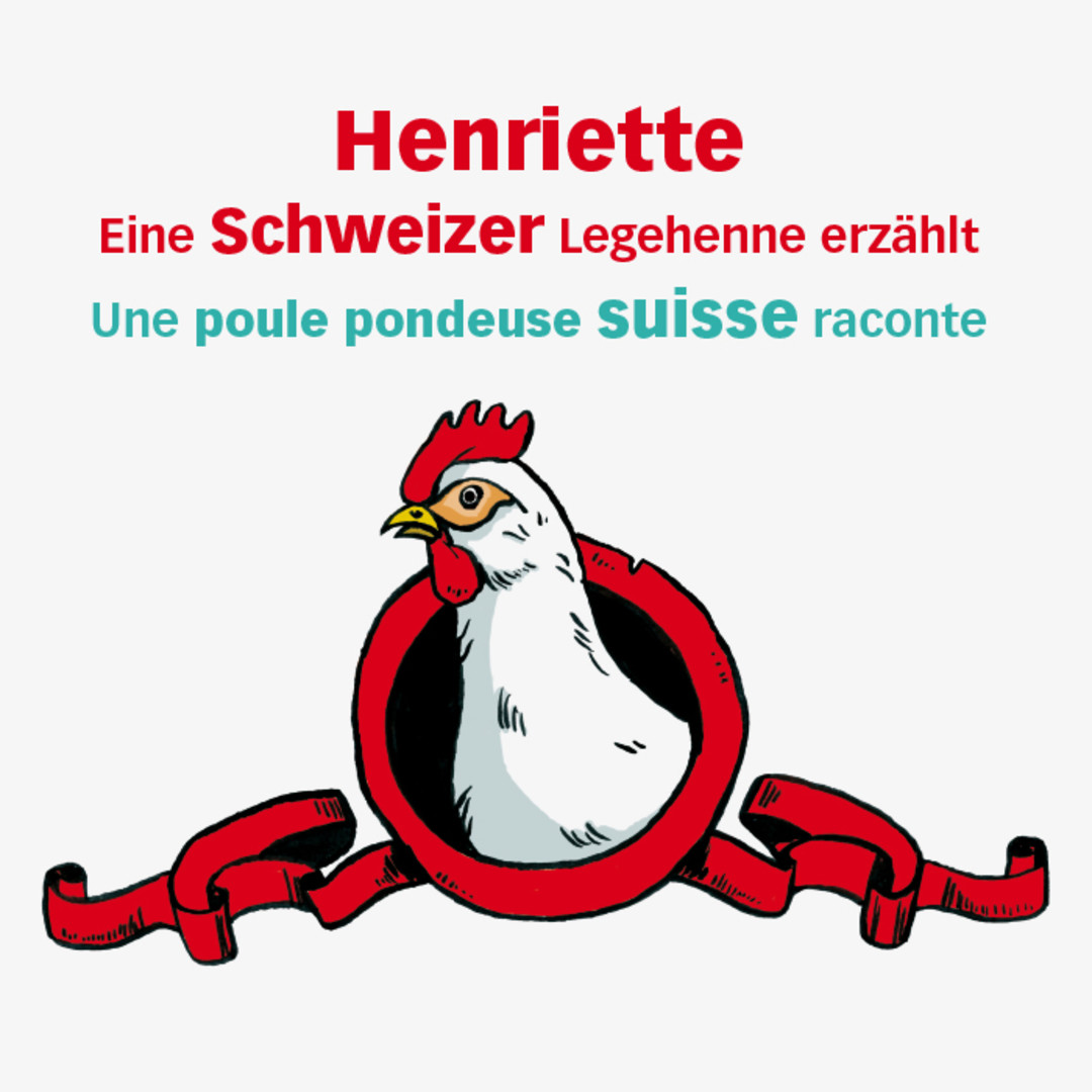 Gallo Suisse auch für die Kleinen