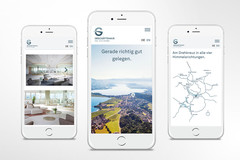 Geschäftshaus am Seedamm