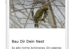 Bau Dir Dein Nest im Solipark Bülach