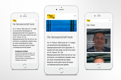 Die Gipser- und Malergenossenschaft Zürich (GMGZ) verbindet Web und Instagram