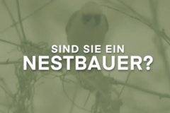 Bau Dir Dein Nest im Solipark Bülach