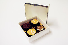 Neues Corporate Design für den Freiblick