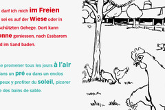 Gallo Suisse auch für die Kleinen