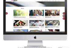 Screendesign Schaub Maler AG