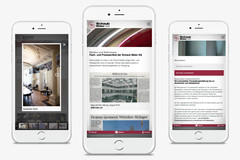 Screendesign Schaub Maler AG